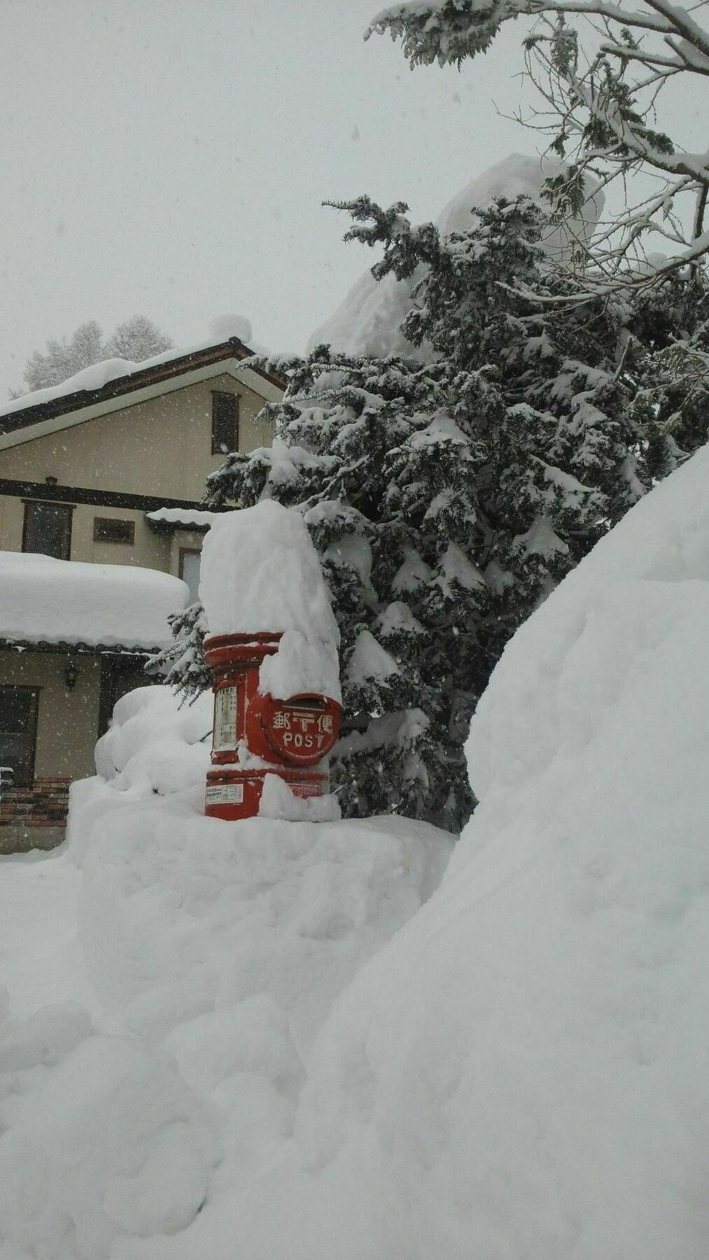 Villa Sakka Sanso Hakuba Exterior foto